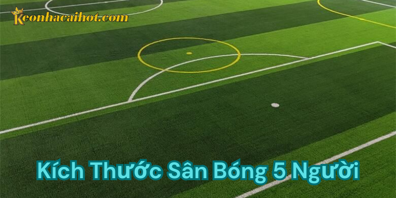 Kích thước sân bóng 5 người tiêu chuẩn FIFA