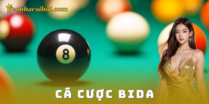 Cá cược bida kèo nhà cái