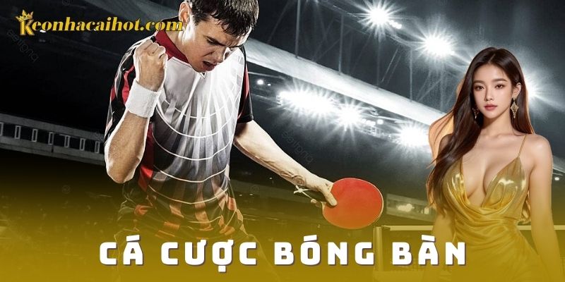 Cá cược bóng bàn - Kèo nhà cái