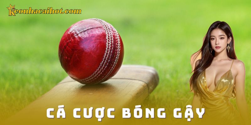 Cá cược bóng gậy kèo nhà cái
