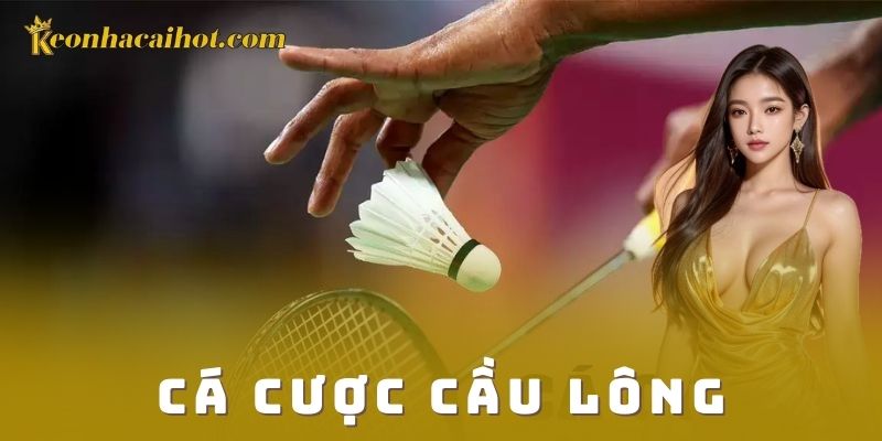 Giới thiệu cá cược cầu lông