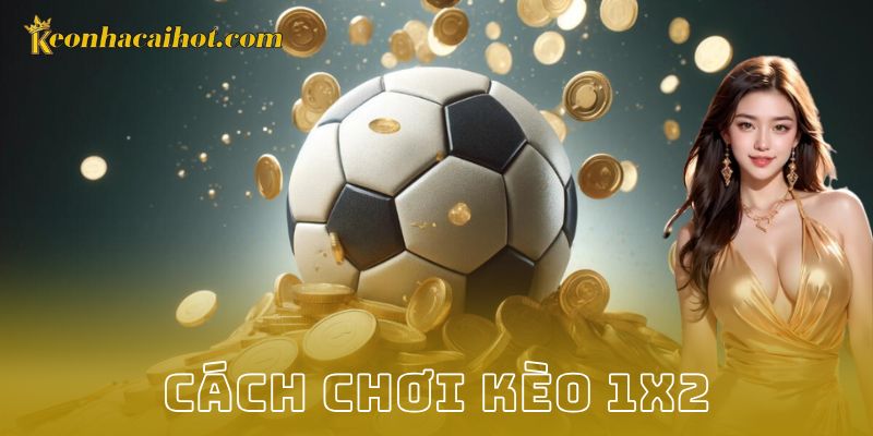 Kinh nghiệm để tối ưu lợi nhuận