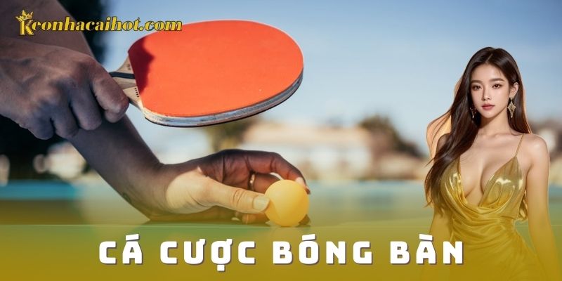Tại sao cá cược bóng bàn thu hút người chơi?