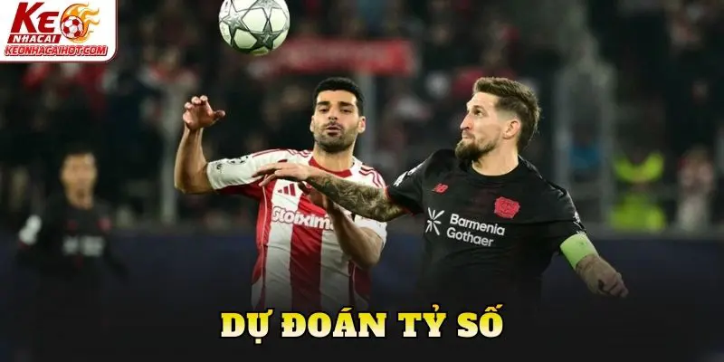 Dự đoán tỷ số