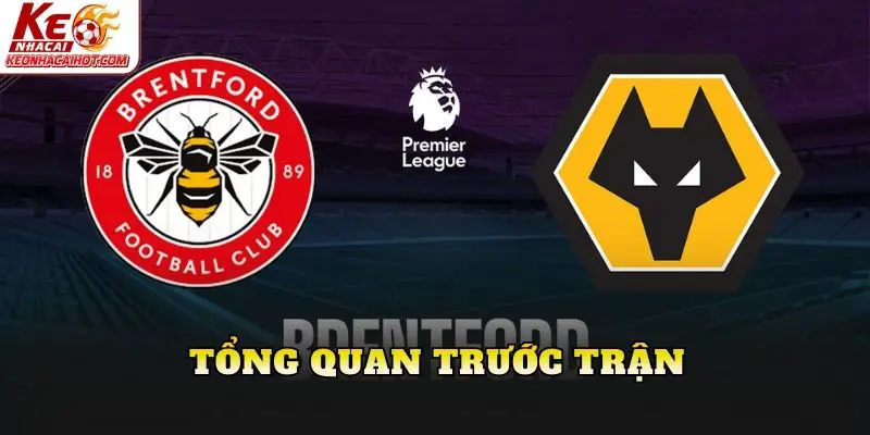 Tổng quan trước trận