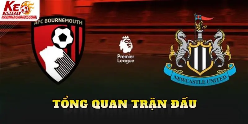 Tổng quan trận đấu