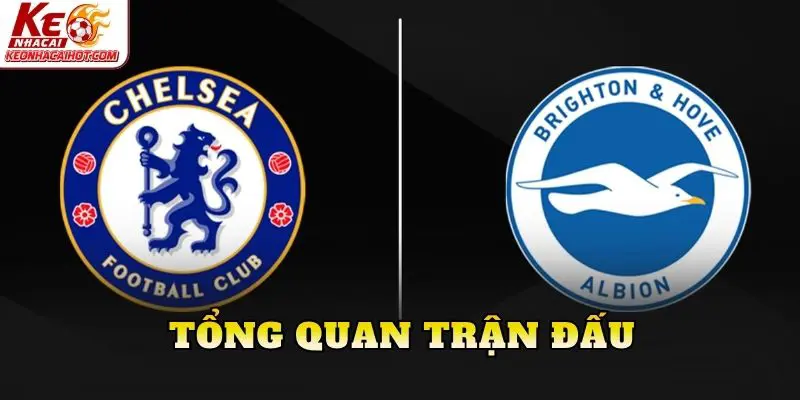 Tổng quan trận đấu