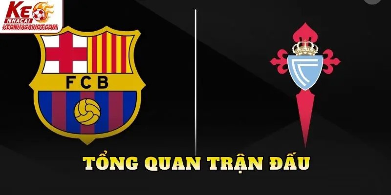Tổng quan trận đấu