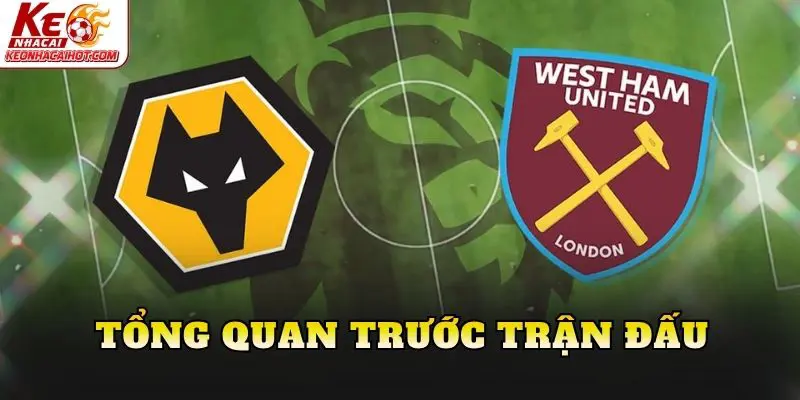Tổng quan trước trận đấu