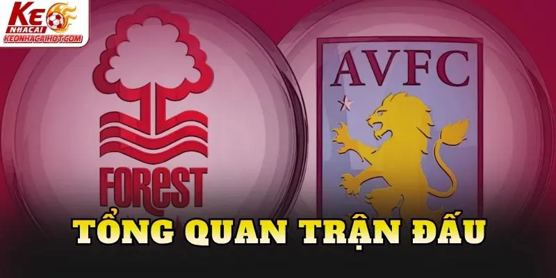 Tổng quan trận đấu