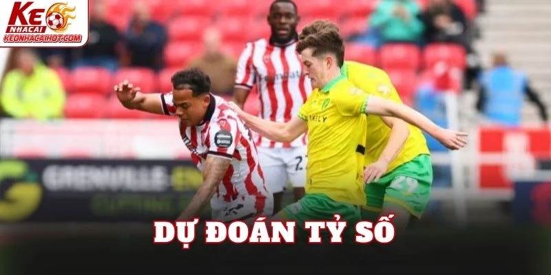 Dự đoán tỷ số